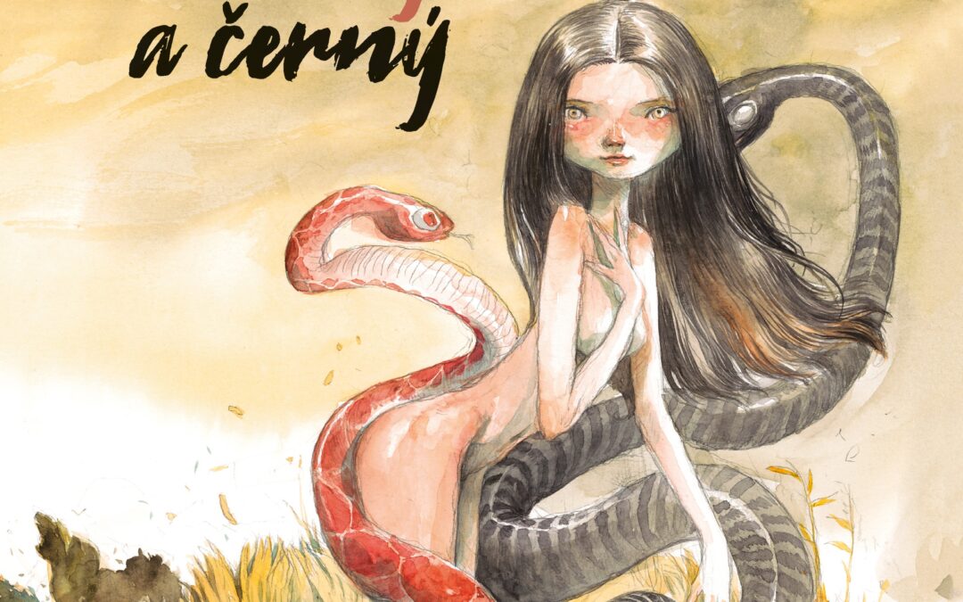 Růžový a černý – Recenzia (Komiks)