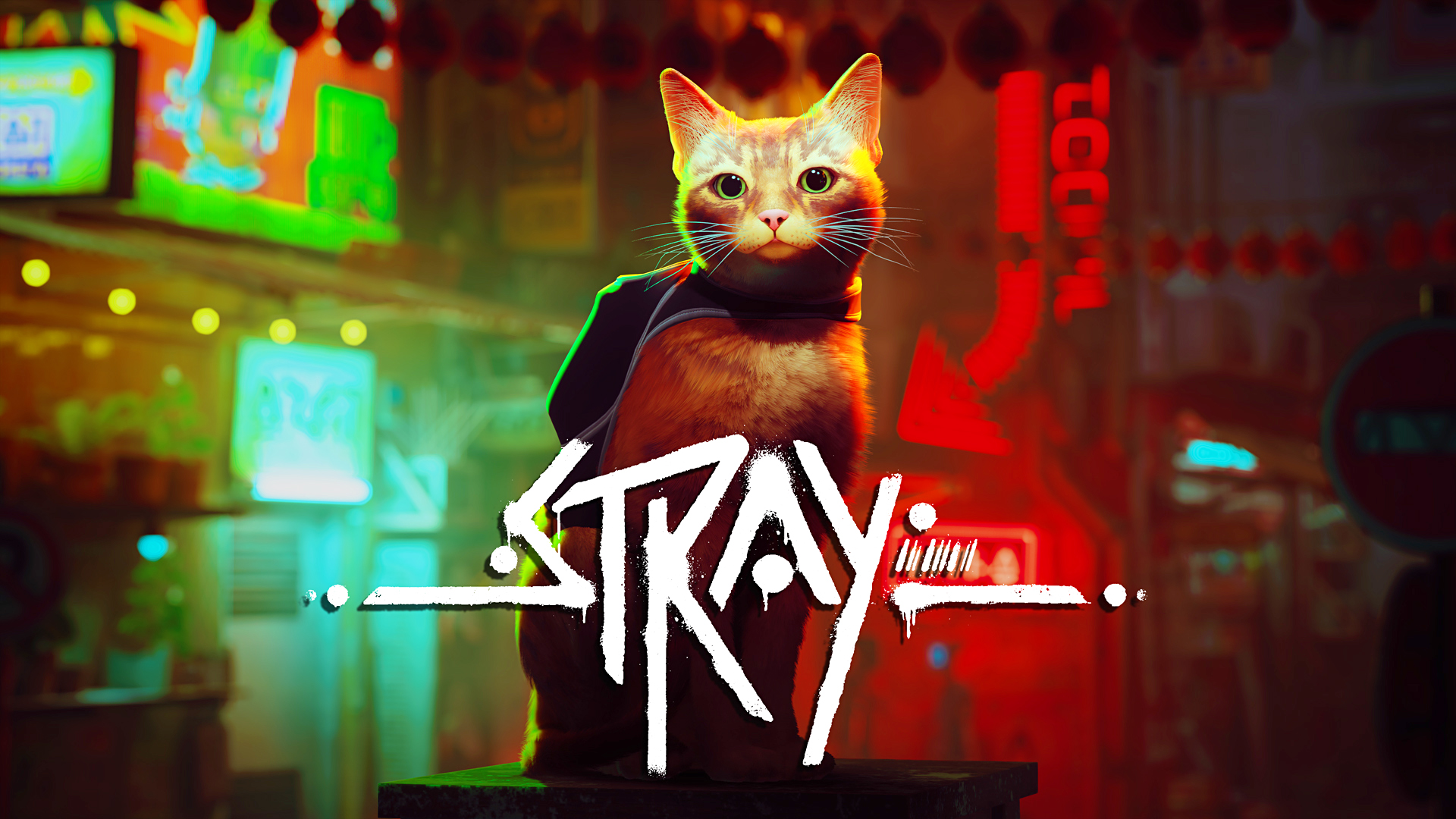 Stray – Futuristický svet s mačkou v hlavnej úlohe – Recenzia